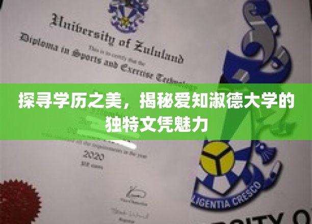学历之光，揭秘爱知淑德大学文凭的非凡吸引力