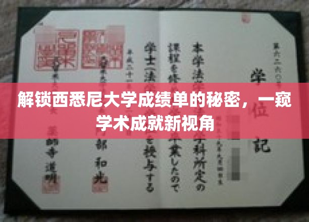西悉尼大学成绩单解码，揭秘学术辉煌背后的故事