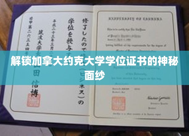 揭开加拿大约克大学学位证书的神秘面纱