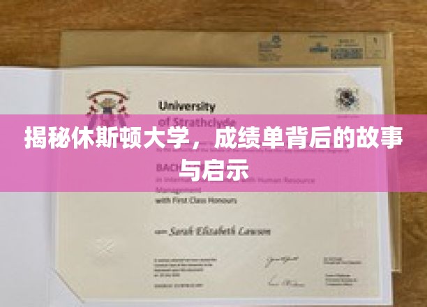 解码休斯顿大学，成绩单背后的真实面纱与人生启示