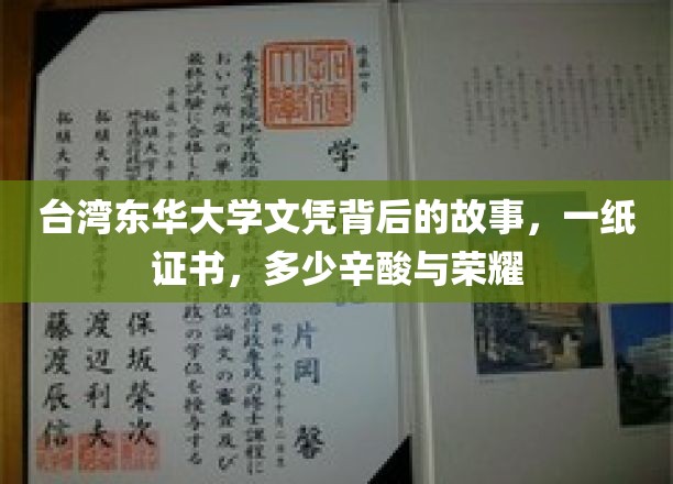 台湾东华大学文凭背后的泪与笑，证书背后的不凡征程