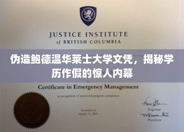 揭秘伪造鲍德温华莱士大学文凭的内幕