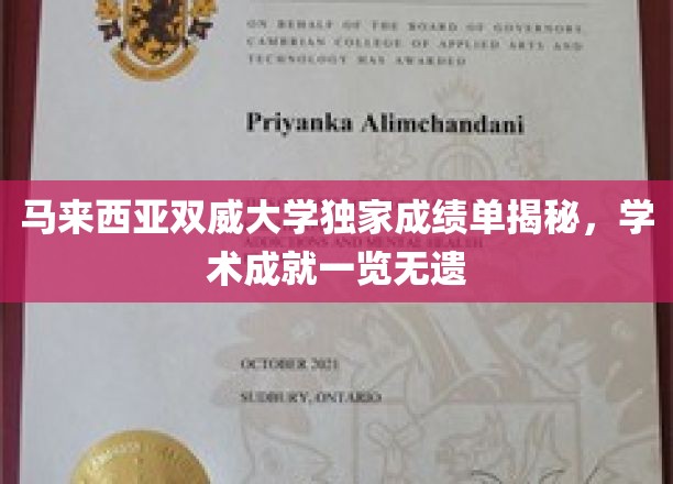 马来西亚双威大学，揭秘学子卓越学术成就的璀璨舞台