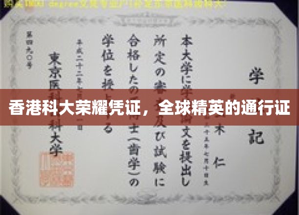 香港科大荣耀通行证，引领全球精英共赴未来之路