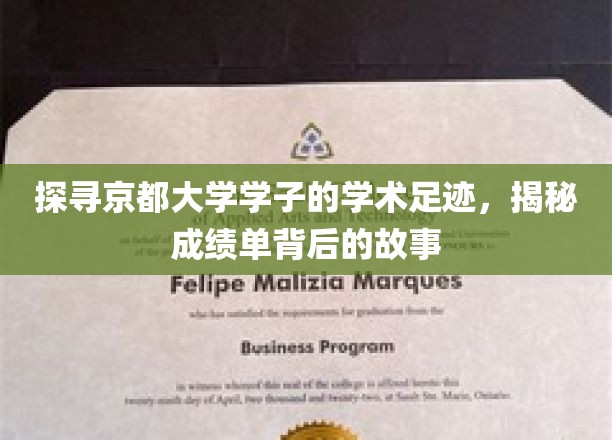 京都学子秘境，成绩单背后，揭秘学术征途的精彩篇章