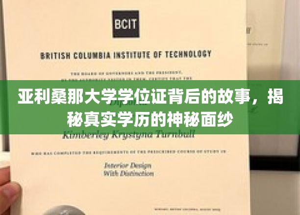 揭开亚利桑那大学学位证面纱，一段真实学历的传奇旅程