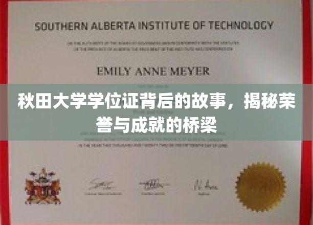 秋田大学学位证，探寻荣誉之路的非凡旅程