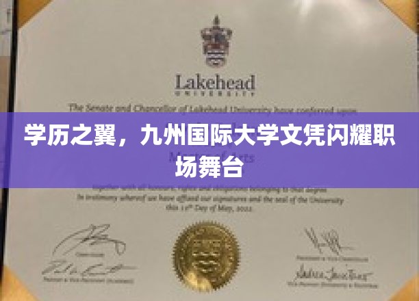 学历之翼，九州国际大学文凭闪耀职场舞台