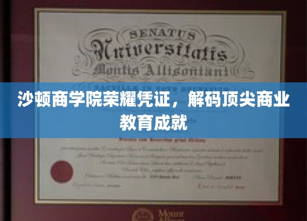 解码沙顿商学院，揭秘全球商业精英的荣耀之路