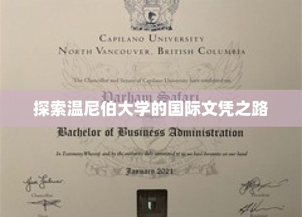揭开温尼伯大学国际学生成就的秘密通道