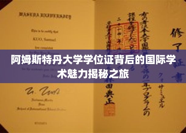 探寻阿姆斯特丹大学学位证的全球学术风采之旅