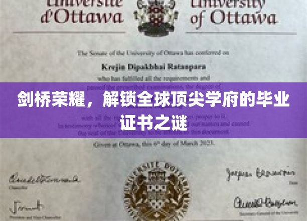 解码剑桥精英，探寻世界一流学府的秘密通行证