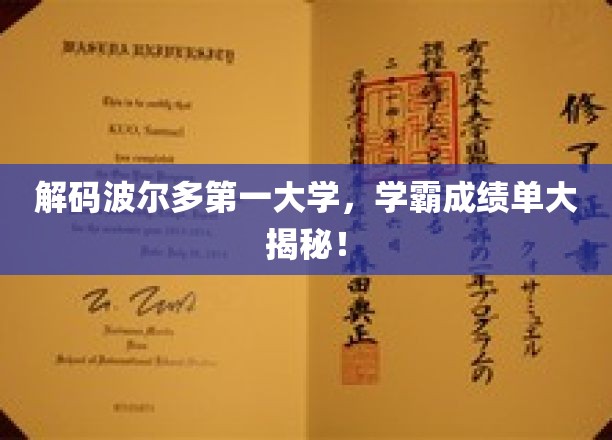 波尔多第一大学学霸风云录，揭秘顶尖成绩背后的秘密！