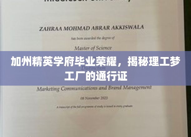 硅谷精英摇篮，解锁加州理工梦想之路