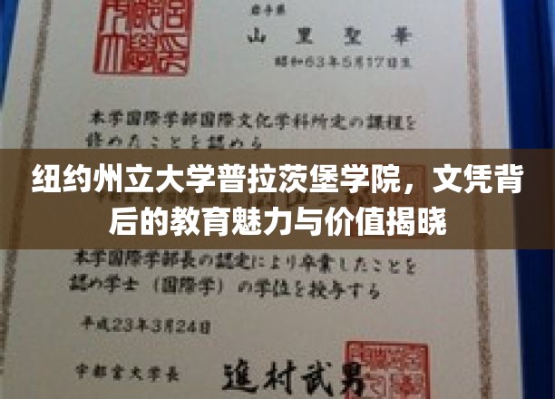 探寻普拉茨堡学院，纽约州立大学文凭背后的独特教育风光