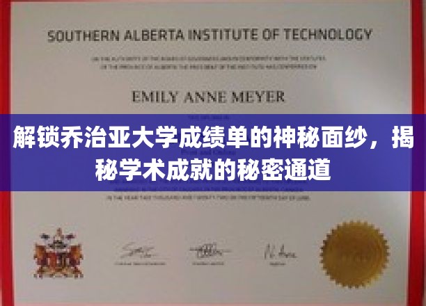 揭开乔治亚大学成绩单的神秘面纱，探索学术成功的隐藏路径