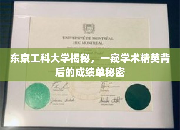 解码东京工科大学，揭秘学术精英的卓越成就之路