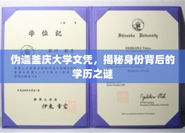 伪造釜庆大学文凭，揭秘身份背后的学历之谜
