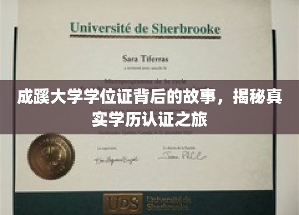 成蹊大学学位证背后的故事，揭秘真实学历认证之旅