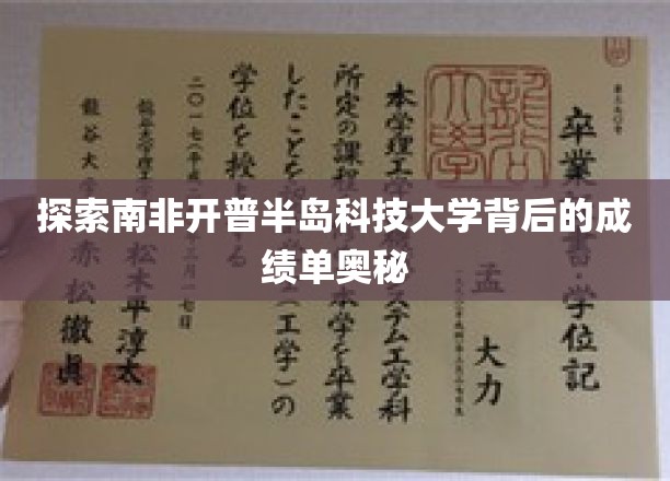 解码开普半岛科技大学，揭秘其卓越成就背后的故事