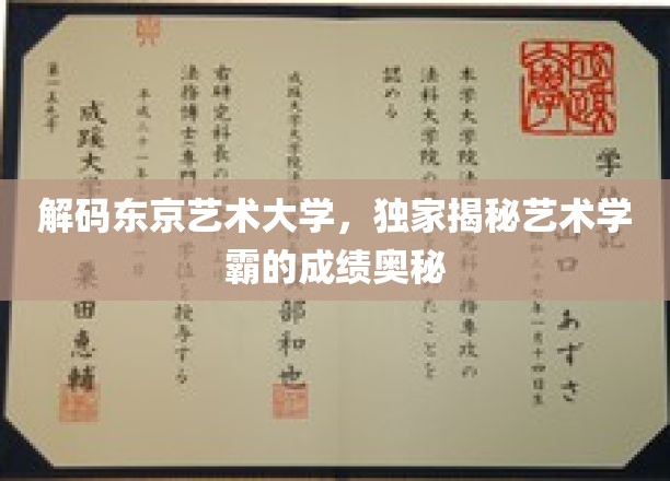 解码东京艺术大学，独家揭秘艺术学霸的成绩奥秘