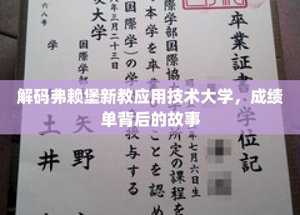 弗赖堡新教大学揭秘，揭开学术成绩背后的精彩篇章