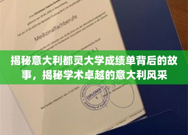 揭示意大利都灵大学成绩单背后的故事，探寻学术卓越的意大利风采