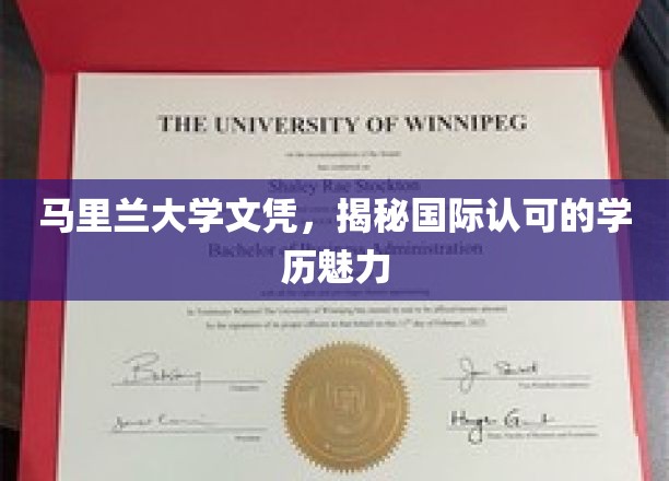 跨国认可魅力，马里兰大学文凭背后的全球通行证