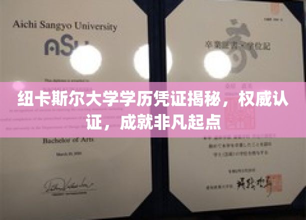 纽卡斯尔大学学历凭证揭秘，权威认证，成就非凡起点