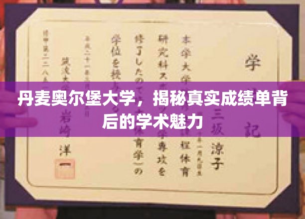探索丹麦奥尔堡大学，揭开学术成就背后的神秘面纱