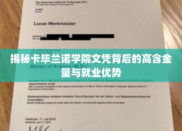 卡毕兰诺学院文凭，揭秘高含金量与职场黄金跳板