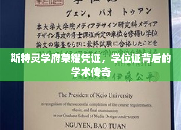 斯特灵学府学位证，揭开荣耀背后的学术奥秘