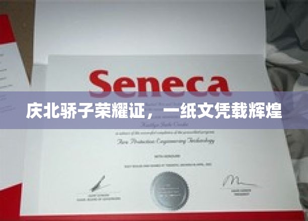 庆北英才耀世程，辉煌文凭鉴英才