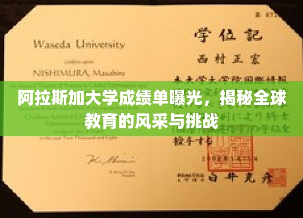 阿拉斯加大学成绩单揭示，世界教育风景线与困境交锋