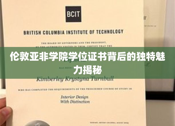 伦敦亚非学院学位证书背后的独特魅力揭秘