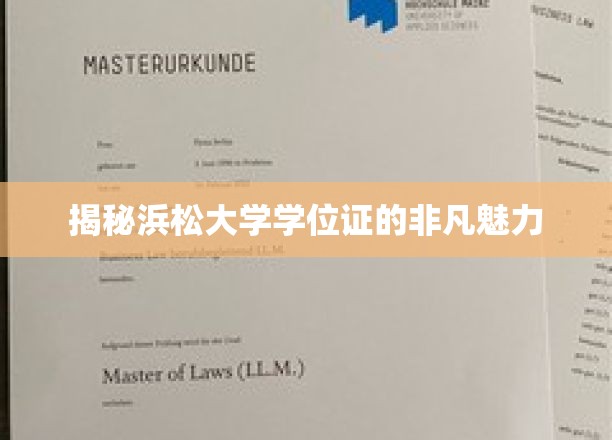 探寻浜松大学学位证的独特风采