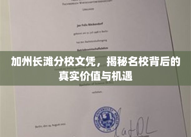 解码加州长滩分校，文凭背后的非凡机遇与深层价值