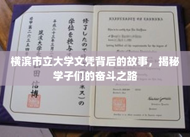 横滨学子奋斗轨迹，一纸文凭背后的青春传奇