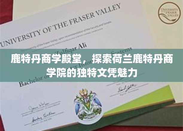 鹿特丹商学院，解锁荷兰教育前沿的独门文凭风采