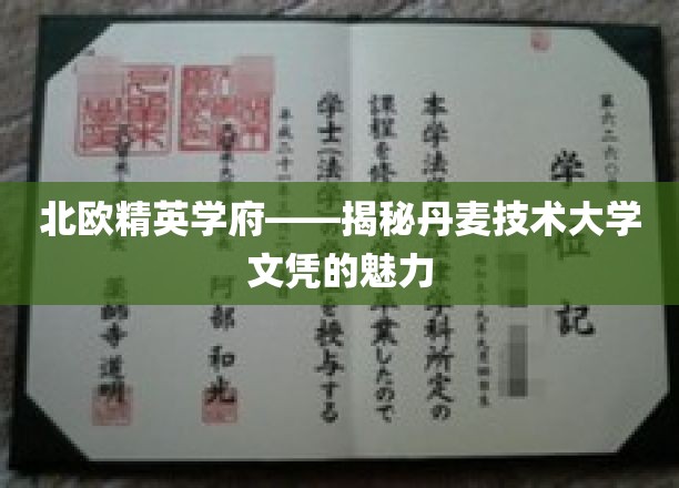 丹麦技术大学，北欧顶尖学府，探索文凭背后的无限价值