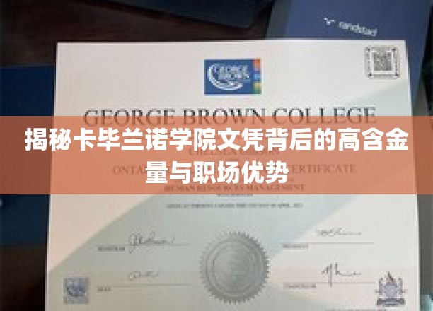 深度解析卡毕兰诺学院文凭的高含金量与职场竞争优势