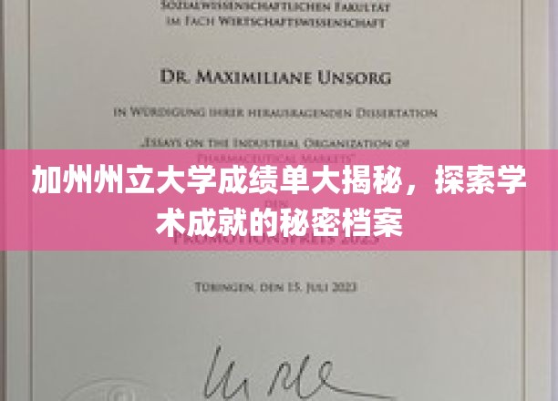 加州州立大学成绩单深度解析，探寻学术成就的奥秘档案