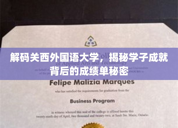 探寻关西外国语大学学霸秘籍，揭秘学子辉煌背后的学术秘笈