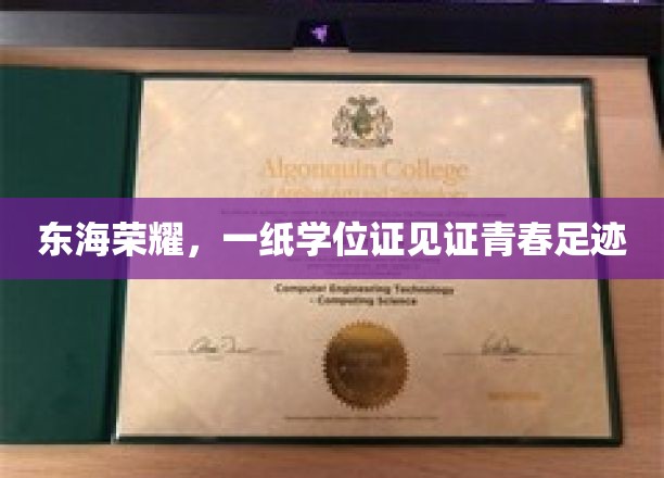 海洋骄子，学位证书映照青春征程