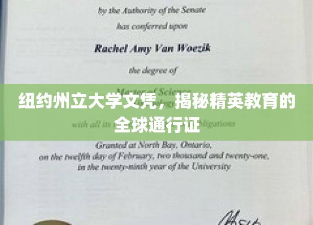 全球精英通行证，纽约州立大学文凭背后的教育奥秘