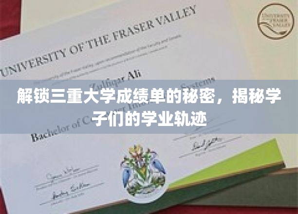 揭开成绩单背后的三重奥秘，探寻学子成长之路