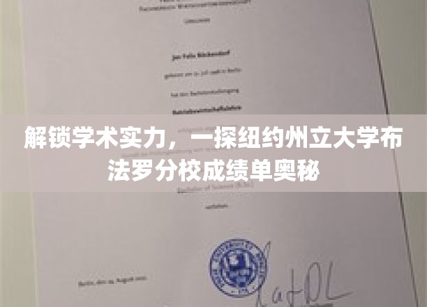 探寻纽约州立大学布法罗分校的学术密码，揭秘卓越成绩单背后的秘密