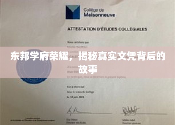 东邦学府荣耀之谜，揭开文凭背后的不凡传奇