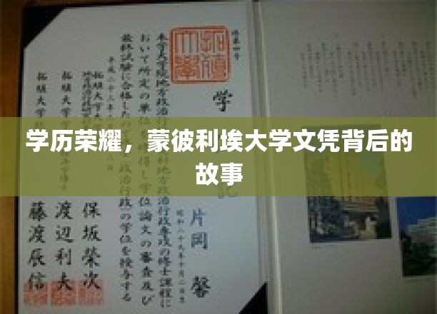蒙彼利埃荣耀，探寻那些隐藏在文凭背后的大学传奇