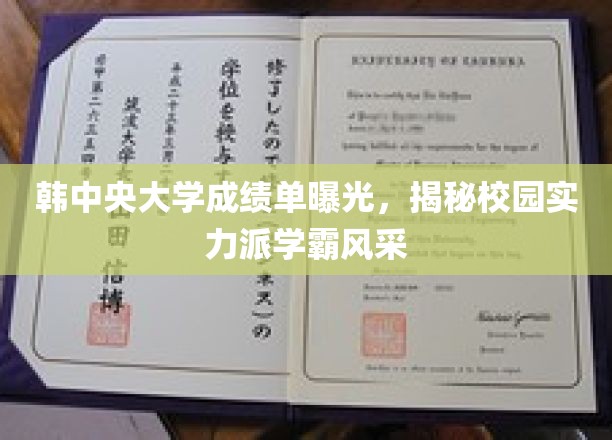 韩中央大学成绩单曝光，揭秘校园实力派学霸风采